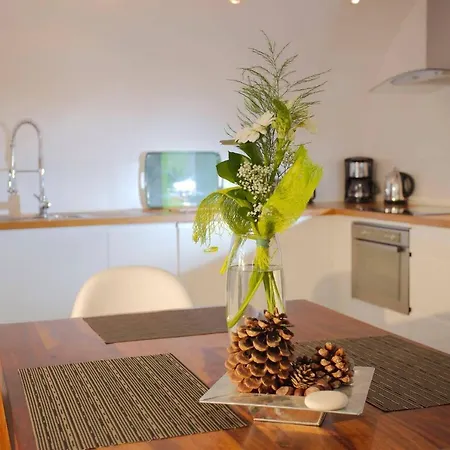 Ferienhaus Dream Loft For 2 With Private *